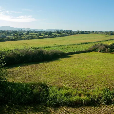 Ferienhaus Chapim Azul Cabrela (Lisbon)