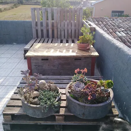 Chapim Azul Tatil Evi *