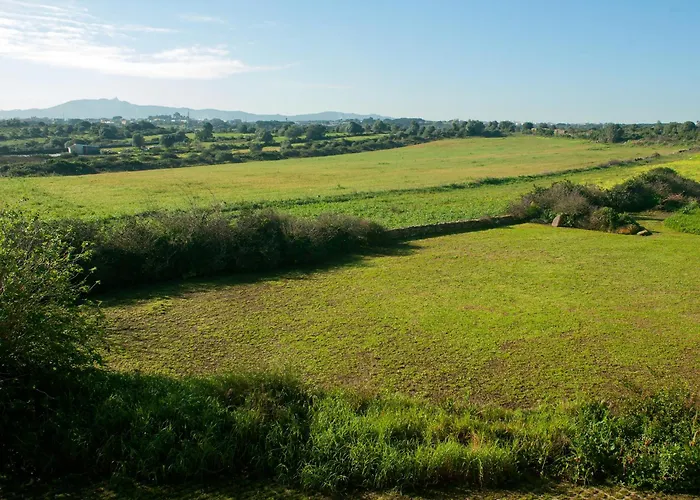 Дом отдыха Chapim Azul Cabrela (Lisbon)